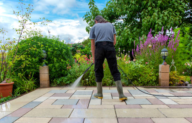 Reliable Maypearl, TX Pressure washing Solutions