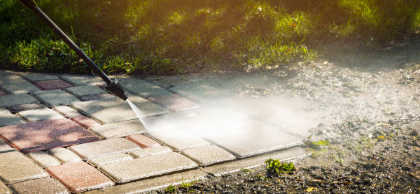 Solar Panel Cleaning in Maypearl, TX